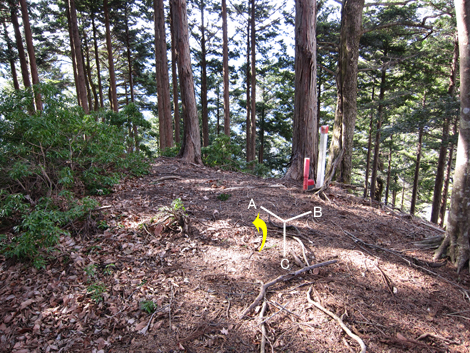 20200204hike (295)